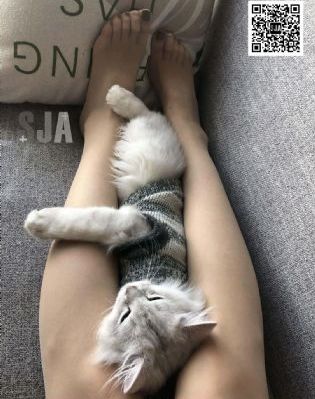 我的指尖打扰