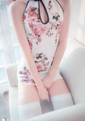 月光宝盒高清免费观看完整版