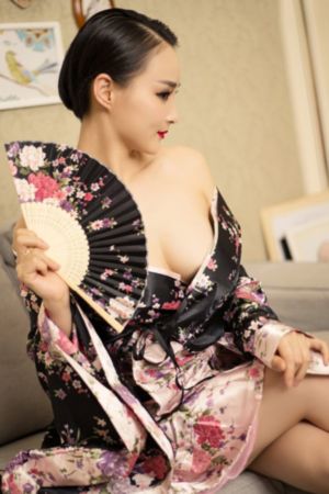 珠帘玉幕免费看