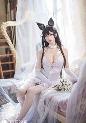 妻子的客人