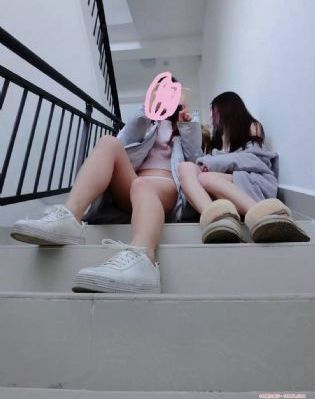 精灵之森拯救精灵森林免费观看