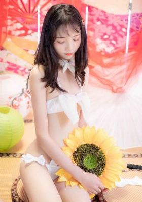 开端电视剧免费观看全集完整版
